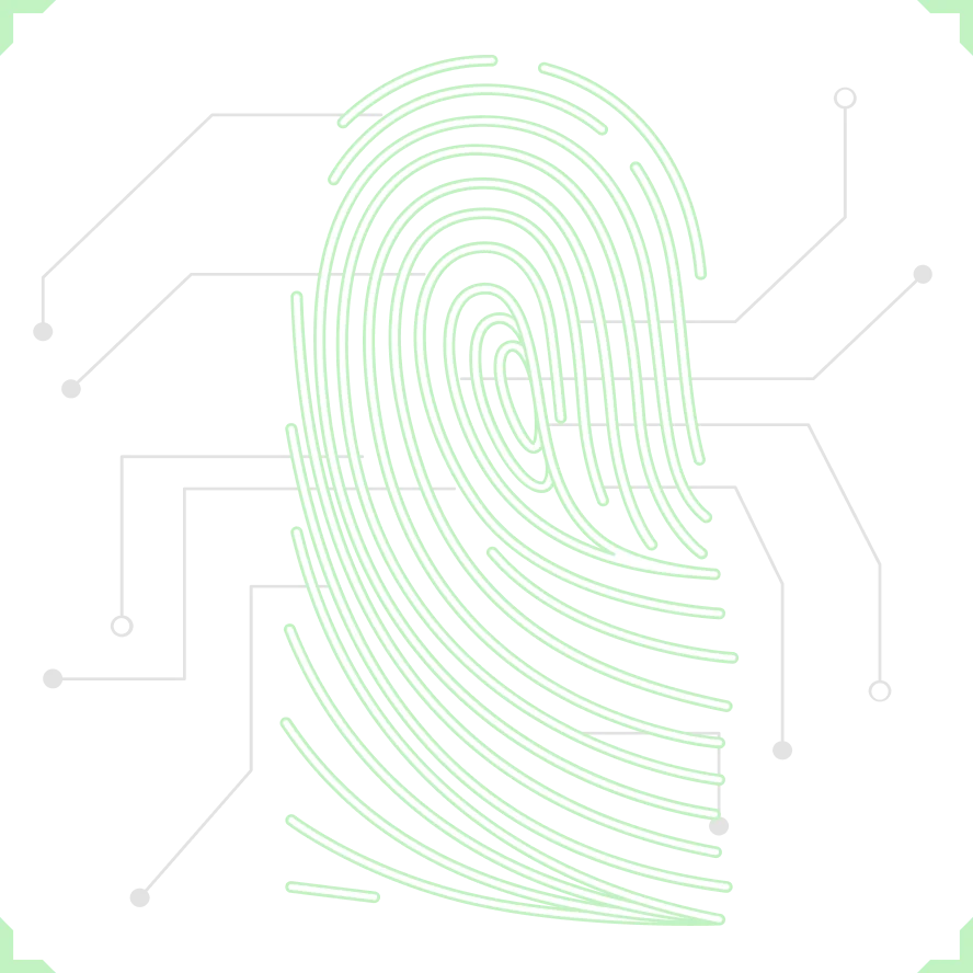 Security Assessment
